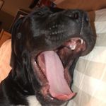 Bruce Koehler - @brucieboyyyy - Instagram