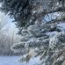 Bruce Kolden - Facebook