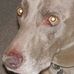 Bruce Ladd - Facebook
