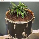 Bruce Lam - @brucelam11 - Instagram