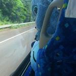 Bruce Lam - @ctlam22 - Instagram