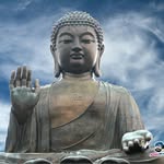 @bruce_lama - Instagram