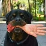 Bruce Lancaster - @bruce.lancaster.9847 - Instagram