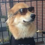 Bruce Wayne Lancaster - @brucewaynelancaster - Instagram