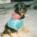 Bruce Landers - Facebook