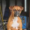 brucelandrum - @brucelandrum - TikTok