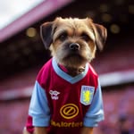 Bruce Langley - @langley_bruce - Instagram