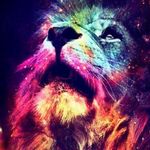 Bruce Lapierre - @bruce_lapierre - Instagram
