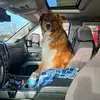 brucesargent1 - @brucesargent1 - TikTok
