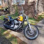 Bruce Lasham - @brucelasham - Instagram