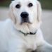 Stephen Bruce Latta - Facebook
