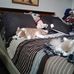 Bruce Laurent - Facebook