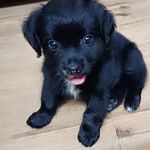 Yuvi Bruce Lavi Bruce - @yuvibrucelavi - Instagram