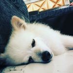 Bruce Law - @bruce.law_ - Instagram