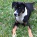 Bruce Layton - Facebook