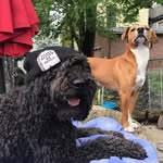 Bruce Leader - @bruceontheloose716 - Instagram