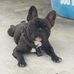Bruce Anjos Leal - Facebook