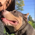 bruce le - @brucele.almighty - Instagram