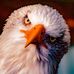 Bruce Leaman - Facebook