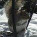 Bruce Leasure - Facebook