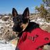 Bruce Lebrun - Facebook