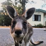Bruce Leslie - @bruceleslie - Instagram