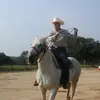 bruceleslie6 - @bruceleslie6 - TikTok