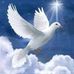 Bruce Levis - Facebook