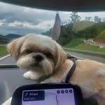 bruce007 - @bruce_love7 - Instagram