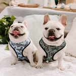 BRUCE + BELLA - @brucelovesbella - Instagram