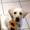 Cindy Bruce Lochmuel - @cindybrucelochmueller - TikTok
