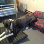 Lochlan Bruce - @lochlanbruce - Instagram