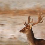 Bruce Loe - @bruce.loe - Instagram