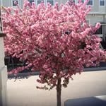 Bruce Loeschen - @bruceloeschen - Instagram