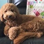Bruce Logsdon - @logsdonbruce - Instagram