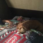 Bruce Logsdon - @brucelogsdon - Instagram