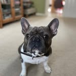 Bruce Logue - @senor_brucie - Instagram