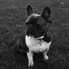 Bruce Logue - @brucetheking01 - TikTok
