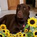 Bruce Lowman - Facebook