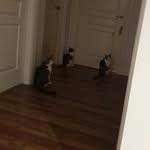 Bruce Long - @brucelong950 - Instagram