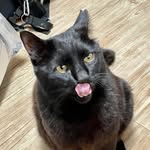 Bruce Long - @brucelong101 - Instagram
