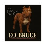 Bruce Long 🤎 - @eo__bruce_ - Instagram