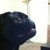 Bruce Longoria - Facebook