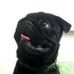 Bruce Longoria - Facebook