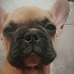 Bruce Longoria - @bruceybear19 - Instagram