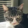 Long_Bruce - @long_bruce - TikTok