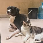 Bruce & Cleo - @brucelorde - Instagram