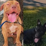 bruce e lord - @brucelord_pytmonster - Instagram