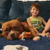 Bruce & Lorenzo - @brucebully.lorenzovaz - TikTok
