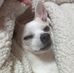 Andrew Bruce Lorimer - Facebook